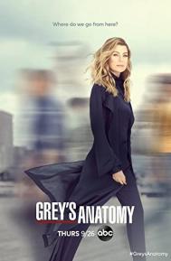 Greys Anatomy Season 3 poster