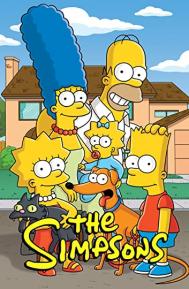 The Simpsons Season 1 poster