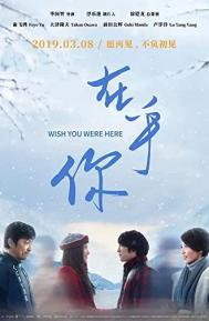 Wish You Were Here poster