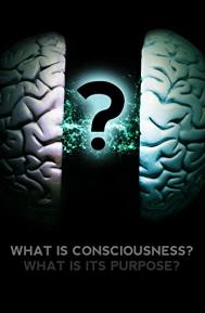 What Is Consciousness? What Is Its Purpose? poster