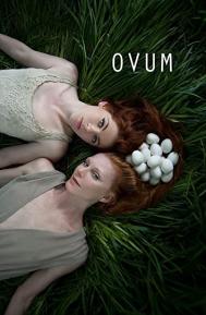 Ovum poster