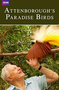 Attenborough's Paradise Birds poster
