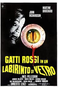 Eyeball poster