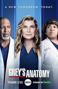 Grey's Anatomy Season 19 poster