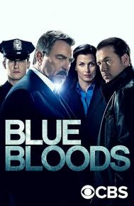 Blue Bloods Season 14 poster